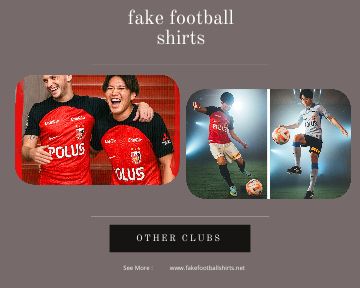 fake Urawa Red Diamonds football shirts 23-24